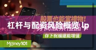 杠杆与配资风险概览 lp